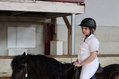 reittag_35